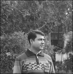 শুকপাখি